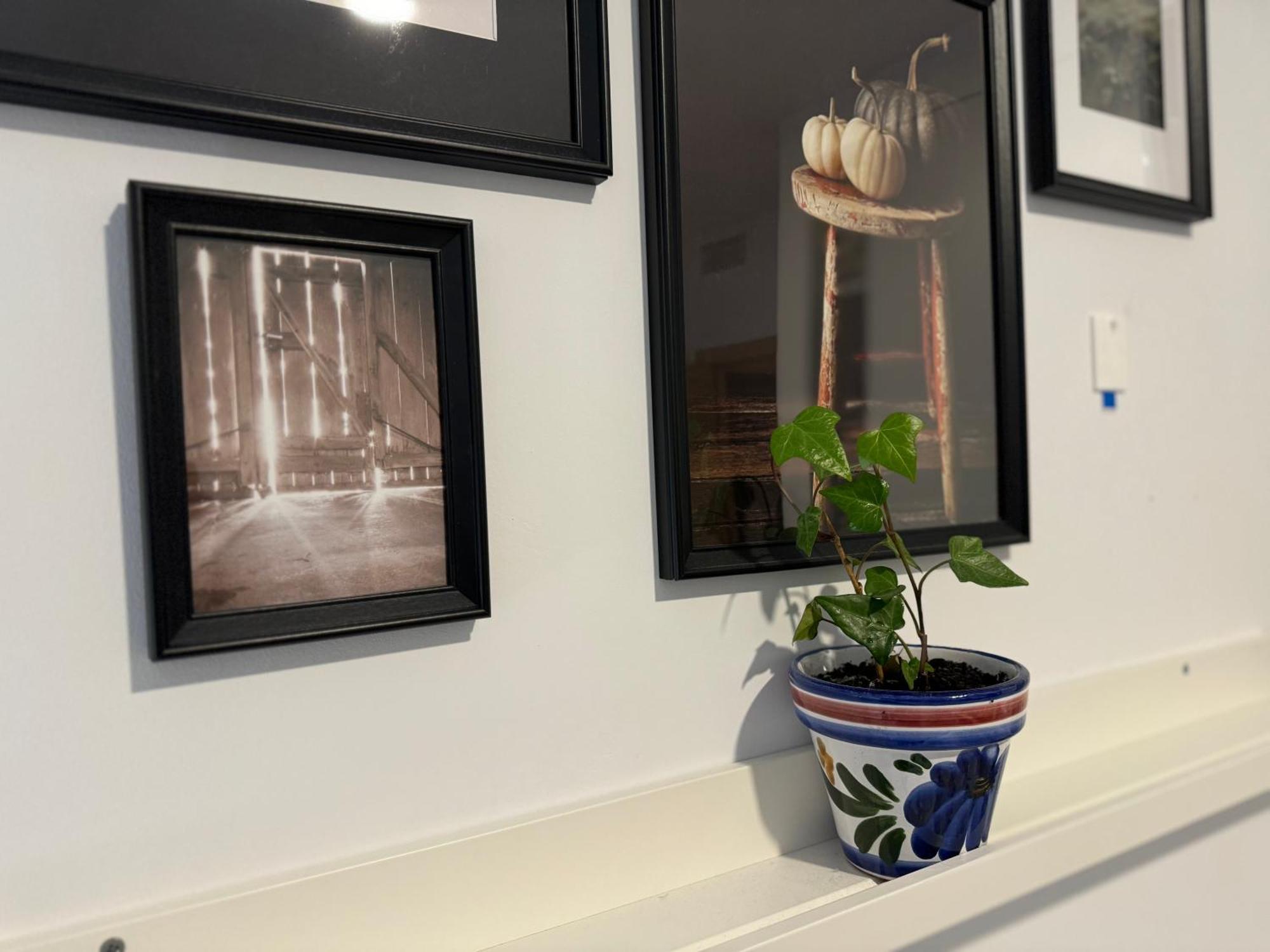 Alex Bed & Breakfast - Your Home Away Including Breakfast - In A Real Home Fuengirola Kültér fotó